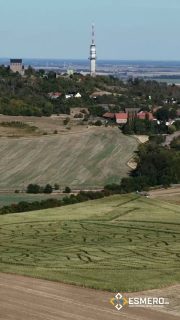 Vor ein paar Tagen fiel der Vorhang für das Maislabyrinth am Petersberg. 🌽🚶‍♂️ Weit über 10.000 Besucher:innen haben sich dieses Jahr durch die verschlungenen Wege gewagt – ein echter Rekord! 🎉
Wer von euch war auch dabei und hat sich seinen Weg durchs Feld gebahnt? 🙌👇
.
#maislabyrinth #halle #halleSaale #petersberg #saalekreis #hallegram #verliebtinhalle #sachsenanhalt #sommer2025 #sommerinhallen #familienausflug #familienzeit #freizeitspaß #freizeitideen #ausflugtipp #ausflugsziel #naturerlebnis #naturpur #sommererlebnis #regionalgenießen #kinderfreundlich #abenteuerpur #landschaftsliebe #deutschlandkarte #urlaubindeutschland #entspannen #genießen #sommerfeeling #sommermomente #esmero