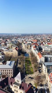 Frischer Look für den Joliot-Curie-Platz 🌿🌷🌺🌼🌸
Die neue Bepflanzung bringt endlich wieder Farbe und Struktur in einen der zentralen Plätze in Halle. Wir waren natürlich direkt vor Ort – am Boden und aus der Luft – um die Veränderung einzufangen.
Kleine Details, große Wirkung. 🌱

#halle #hallesaale #saalestadt #mitteldeutschland #sachsenanhalt